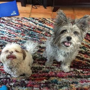 Meet your Posher, Angela